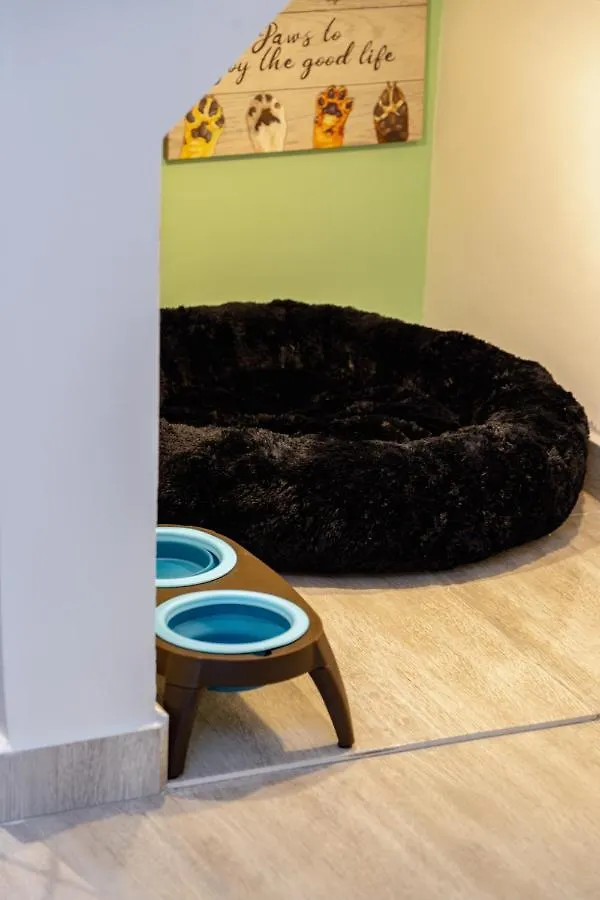 Ac, Apto Saman, Pet Friendly, 7 Personas Medellín Colômbia